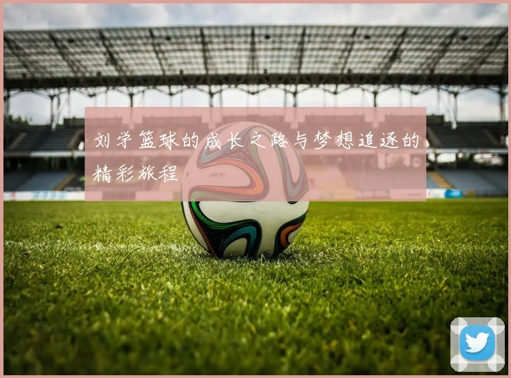 刘学篮球的成长之路与梦想追逐的精彩旅程