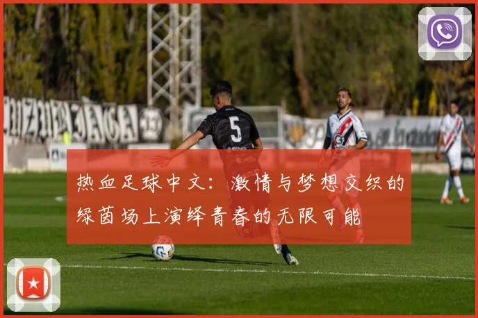 热血足球中文：激情与梦想交织的绿茵场上演绎青春的无限可能